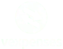 Logo VExpenses